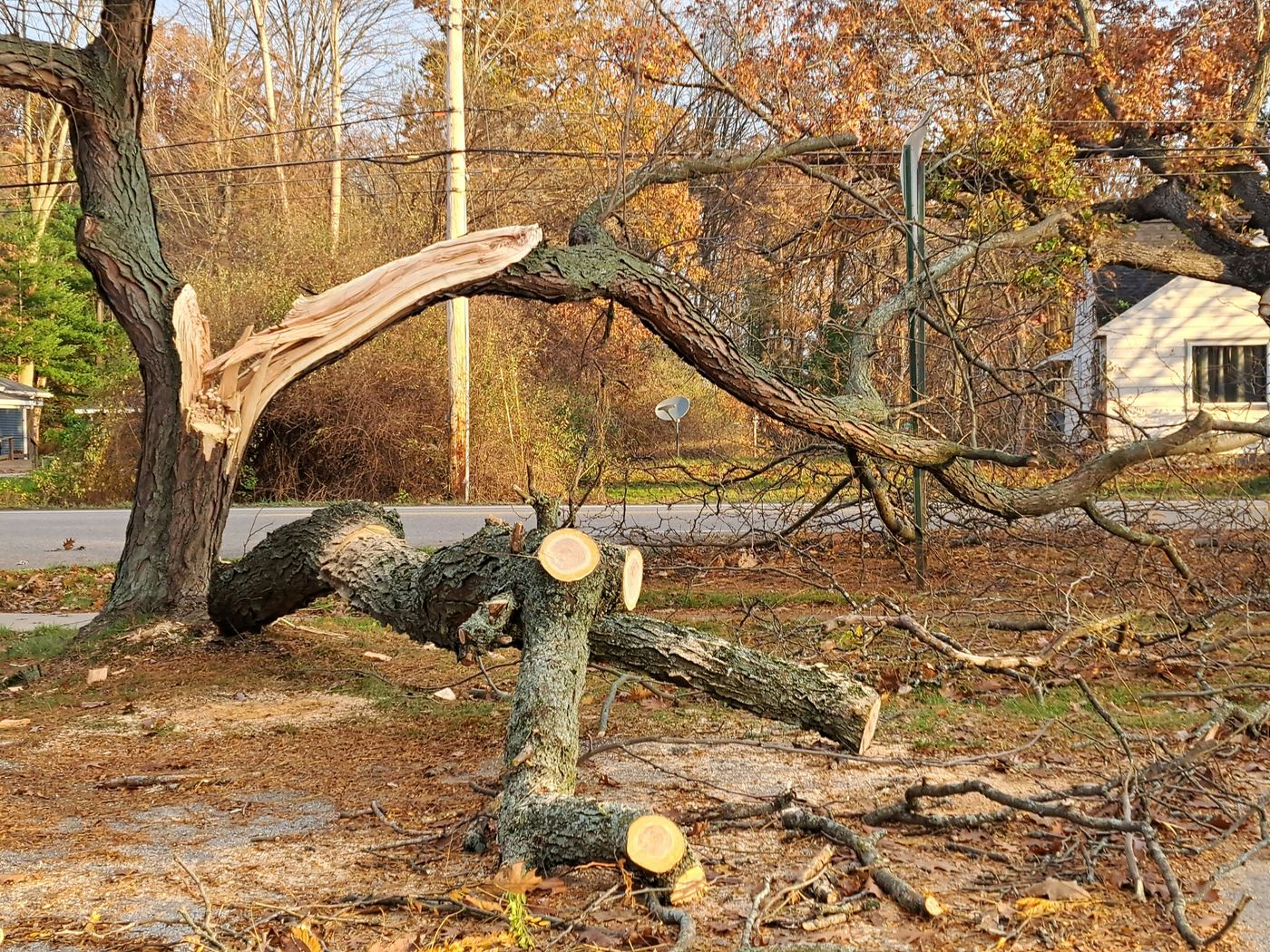 Storm damage emergency tree removal in Bismarck North Dakota